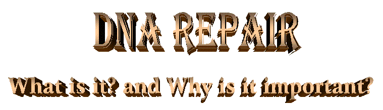 DNA repair - What is it? and Why is it important?